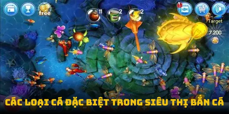 Các loại cá đặc biệt trong siêu thị bắn cá